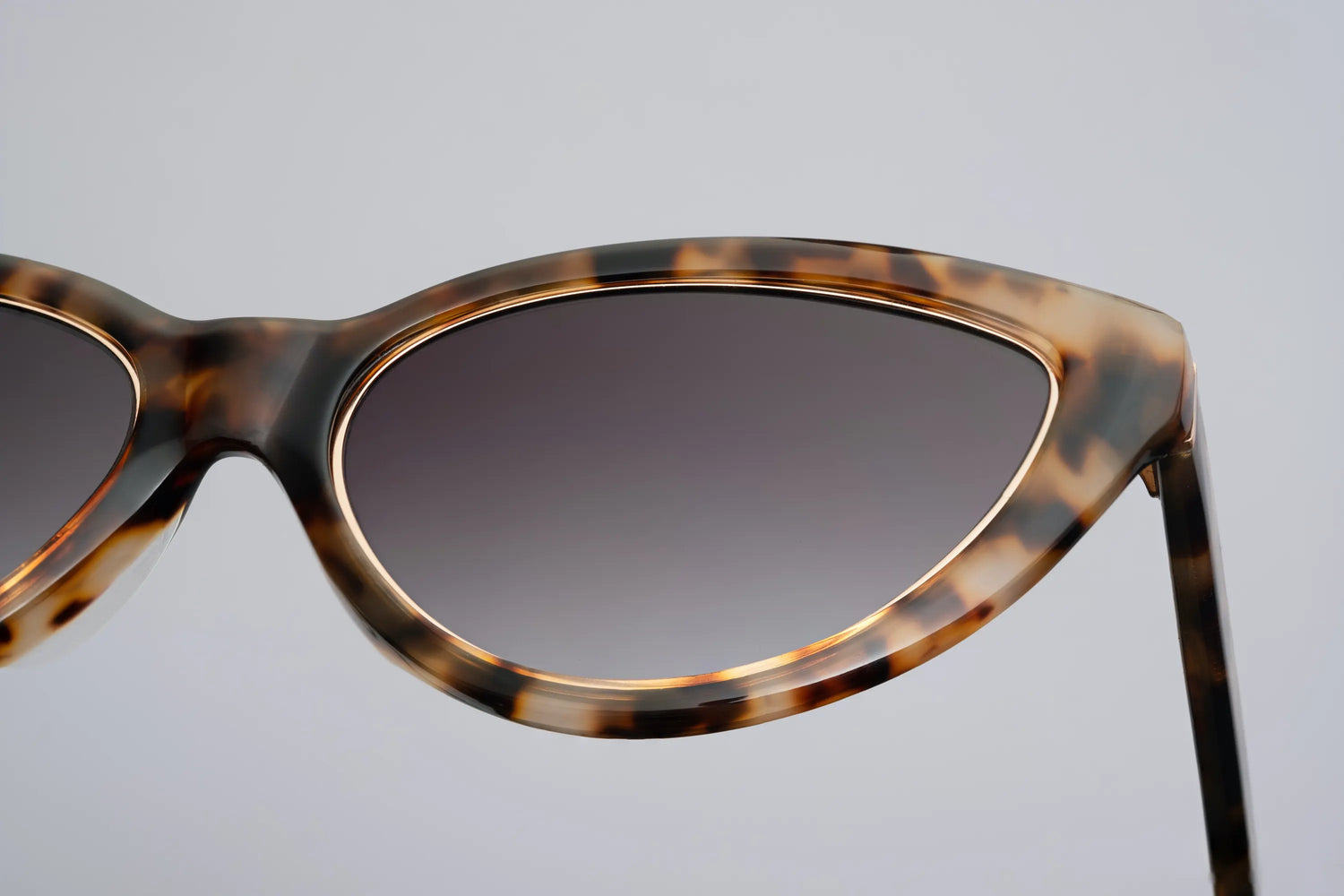 Vieux Eyewear