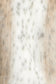 FUR DELISH JACKET - SNOW LEOPARD